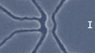 Scientists Build Worlds Smallest Transistor: Just One Atom Thick
